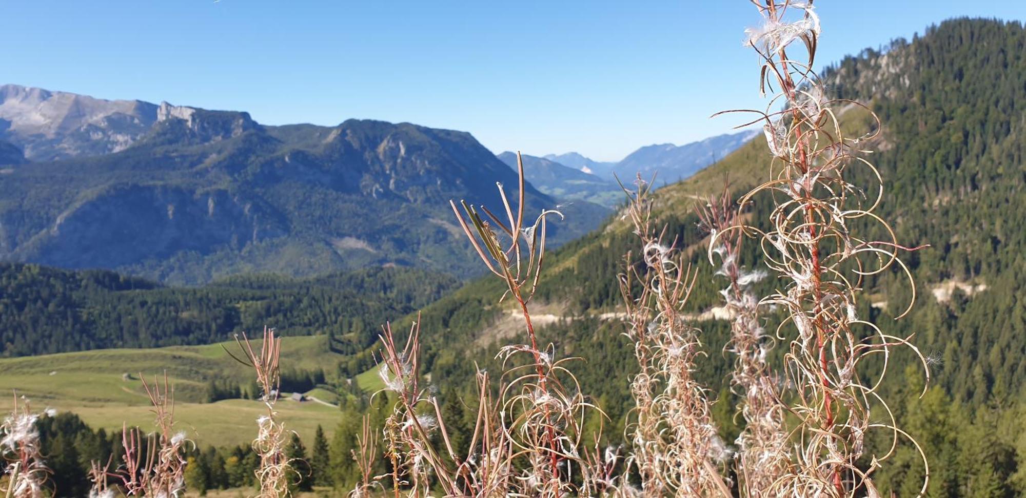 Ferienhaus Mountain View Spital Am Pyhrn Kültér fotó
