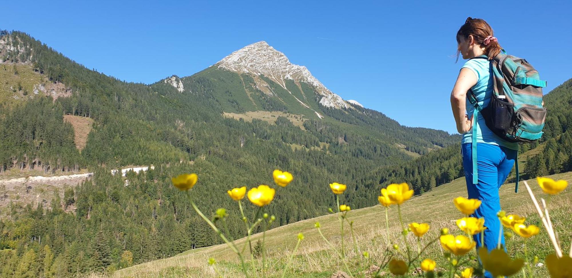 Ferienhaus Mountain View Spital Am Pyhrn Kültér fotó
